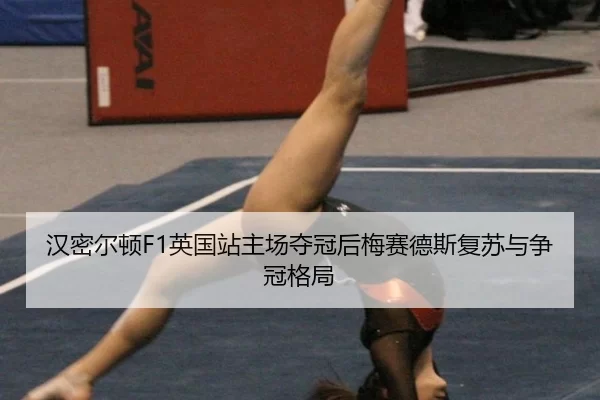 han-mi-er-dun-ying-guo-zhan-zhu-chang-duo-guan-hou-mei-sai-de-si-fu-su-yu-zheng-guan-ge-ju-2-355.jpg