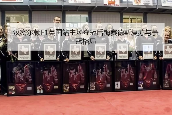 han-mi-er-dun-ying-guo-zhan-zhu-chang-duo-guan-hou-mei-sai-de-si-fu-su-yu-zheng-guan-ge-ju-3-956.jpg